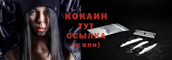 индика Нефтекумск