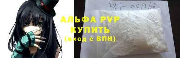 индика Нефтекумск