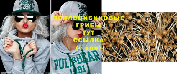 индика Нефтекумск