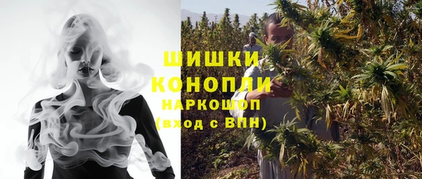 индика Нефтекумск