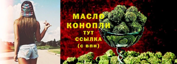 индика Нефтекумск