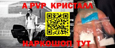 стаф Камышлов