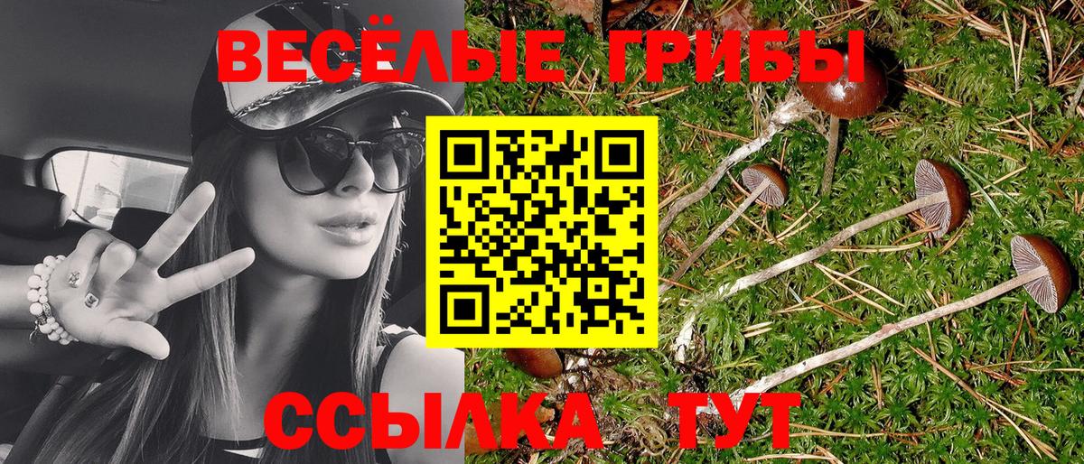 Галлюциногенные грибы GOLDEN TEACHER Полысаево