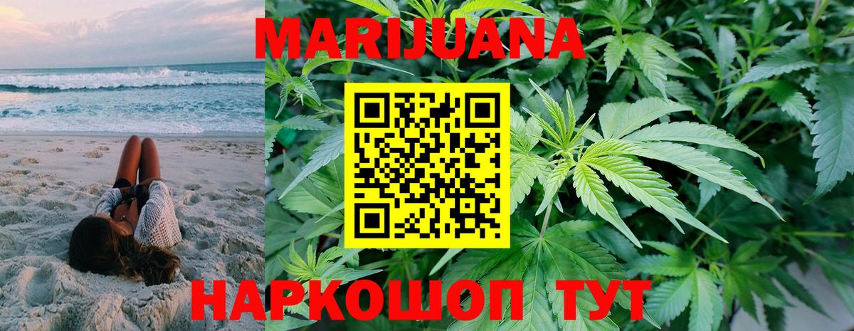 Каннабис планчик Полысаево